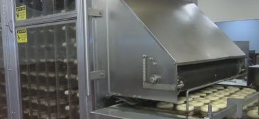 Beignet faisant l'équipement, machine industrielle de beignet pour le pain/beignet de levure fournisseur